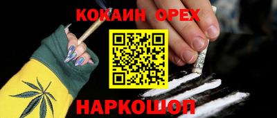 крисы Краснодар