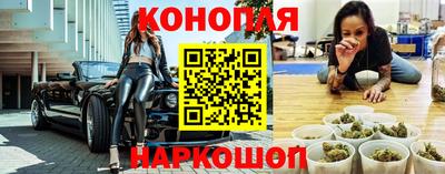 крисы Краснодар