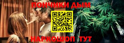 крисы Краснодар