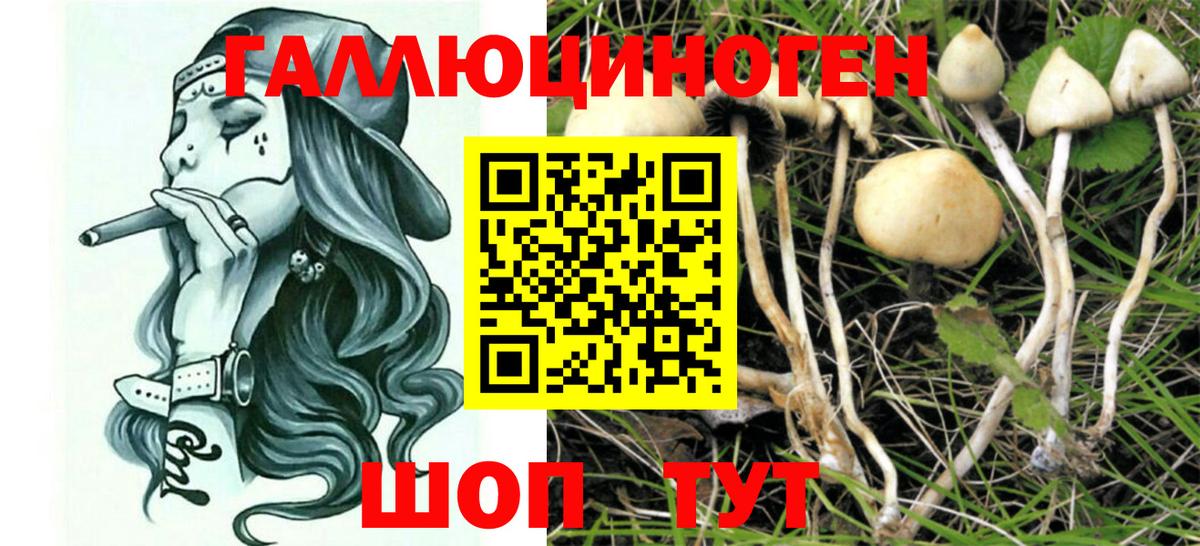 Галлюциногенные грибы прущие грибы Гусь-Хрустальный