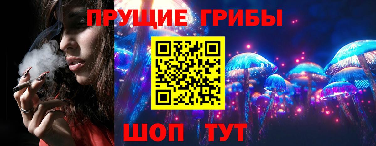 Гусь-Хрустальный  Галлюциногенные грибы прущие грибы  Вход с VPN 